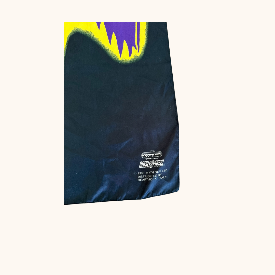 Vintage 1993 Led Zeppelin Wall Flag – Myth Gem / Rock Express (Rare)